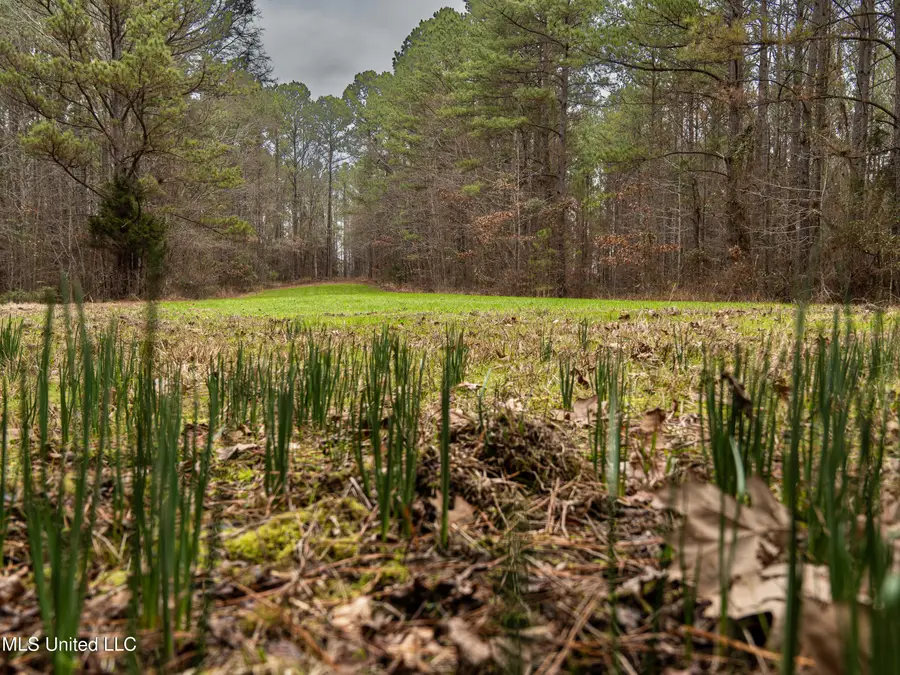 000 Liberty Church Road, Meridian, MS 39301 - Image #3