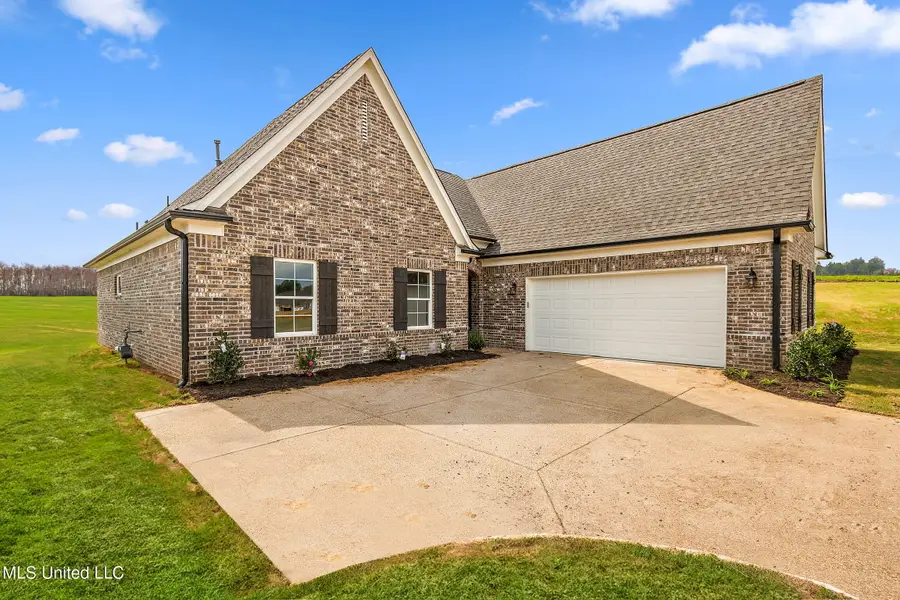 13843 Molly Madeline Lane, Olive Branch, MS 38654 - Image #3