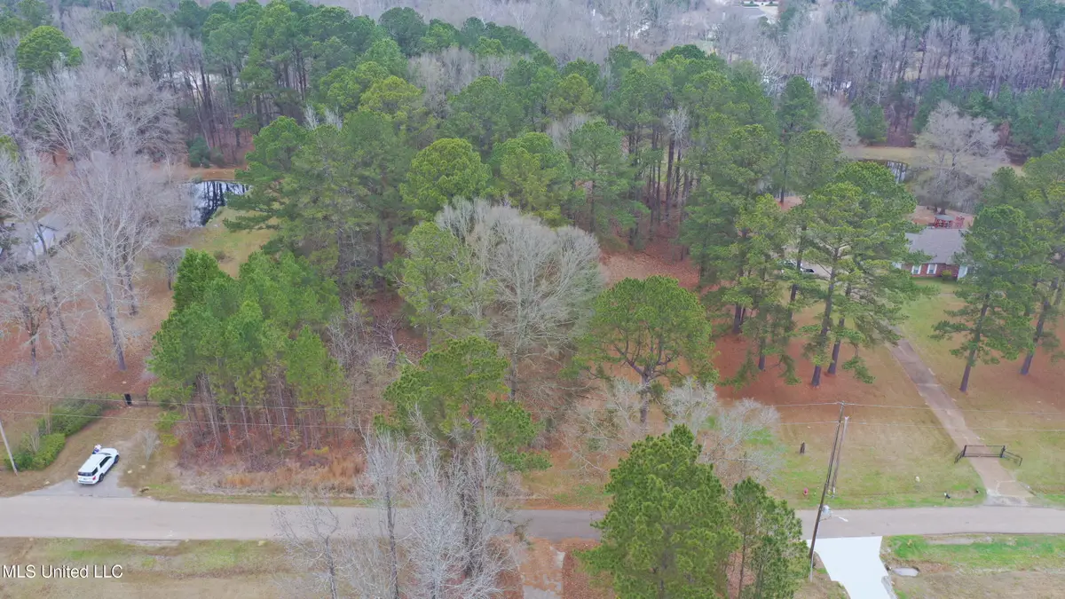 164 Walter Payton Lane, Ridgeland, MS 39157 - Image #1