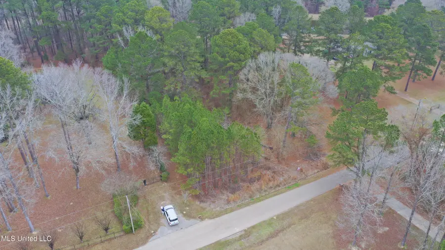 164 Walter Payton Lane, Ridgeland, MS 39157 - Image #3