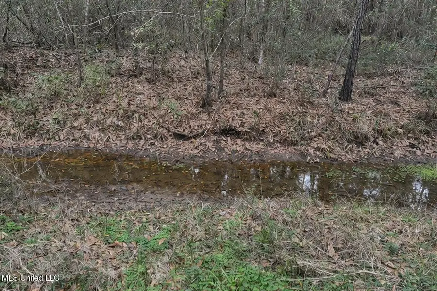 Beechwood Street, Pass Christian, MS 39571 - Image #2