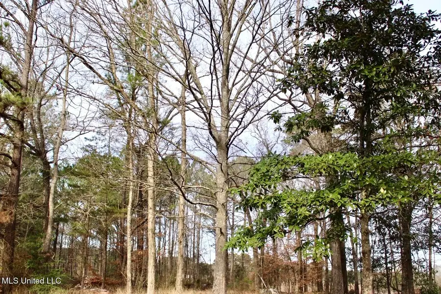 1646 SW West Lincoln Drive, Brookhaven, MS 39601 - Image #3