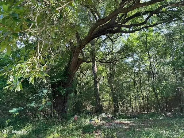 203-B School Basin Road, Lucedale, MS 39452