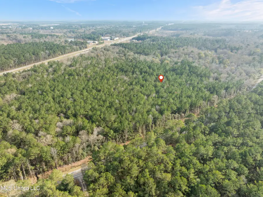 0 Elks Lake Road, Hattiesburg, MS 39401 - Image #2