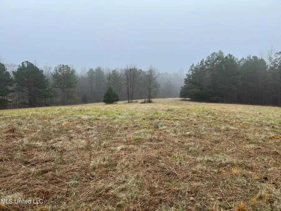 4665 Muddy Ridge Road, Pocahontas, TN 38061 - Image #3