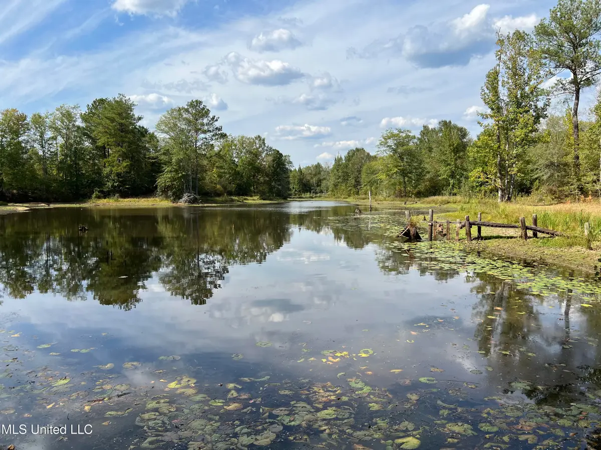 Scr 135, Polkville, MS 39117 - Image #1