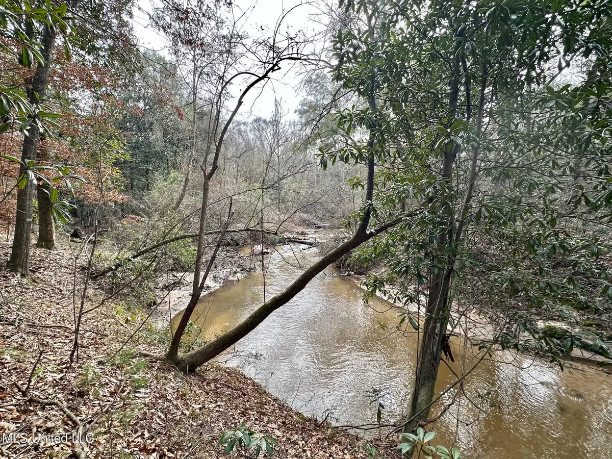 1 Main Street, Mendenhall, MS 39114 - Image #1