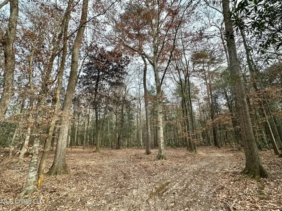 1 Main Street, Mendenhall, MS 39114 - Image #2