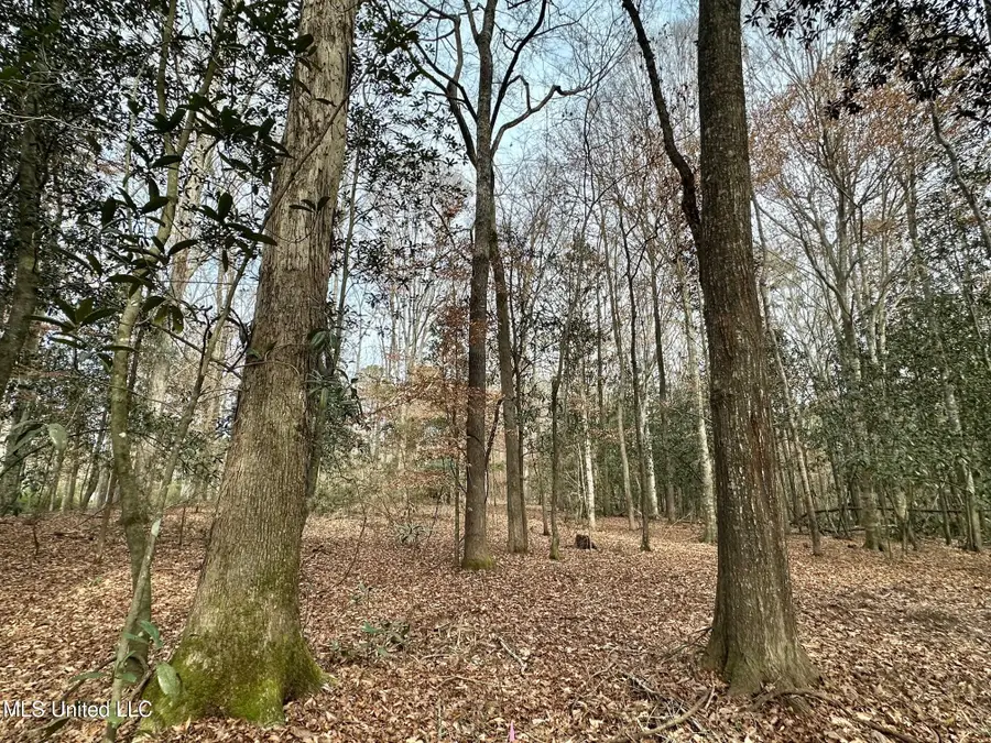 1 Main Street, Mendenhall, MS 39114 - Image #3