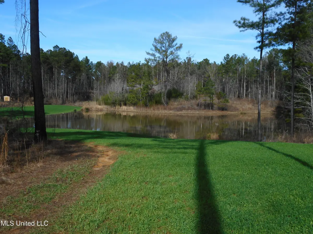 593 Rocky Hill Road, Pickens, MS 39146 - Image #1