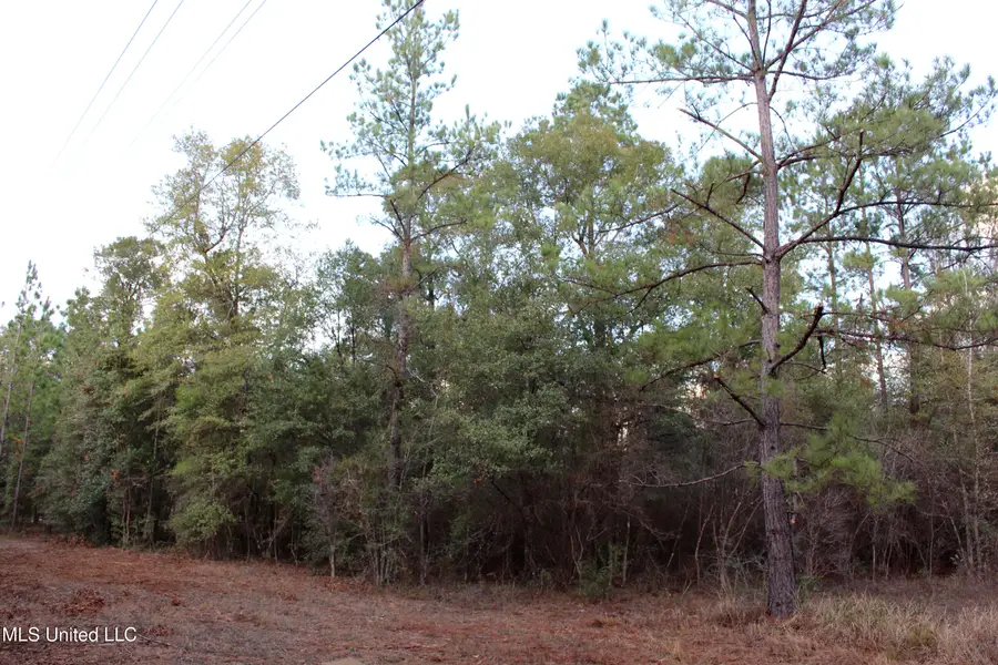 Salem Campground Road, Lucedale, MS 39452 - Image #2
