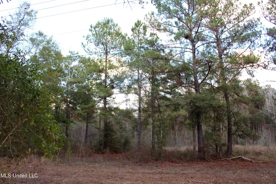 Salem Campground Road, Lucedale, MS 39452 - Image #3