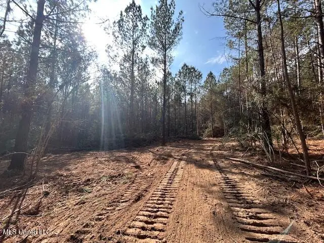 Irene Road, Magnolia, MS 39652 - Image #2