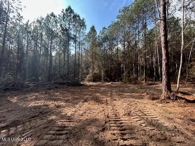 Irene Road, Magnolia, MS 39652 - Image #3