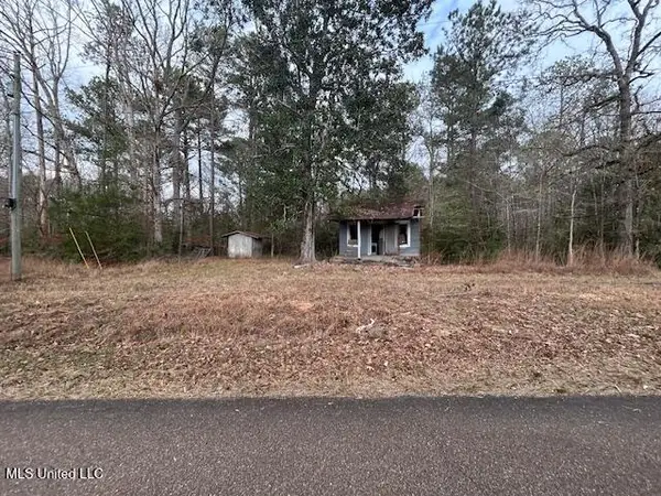 0 SE Pricedale Drive, Bogue Chitto, MS 39629