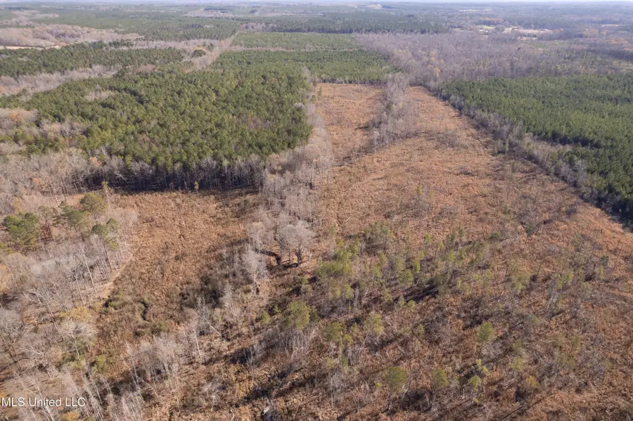 County Road 231, Mantee, MS 39751 - Image #3