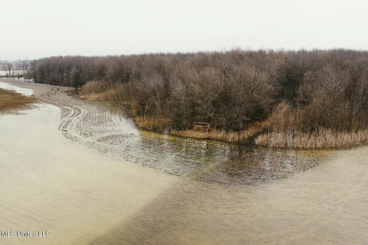 660 E New Africa Road, Alligator, MS 38720 - Image #1