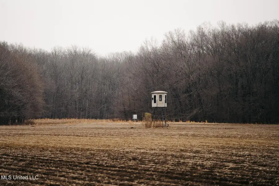 660 E New Africa Road, Alligator, MS 38720 - Image #3