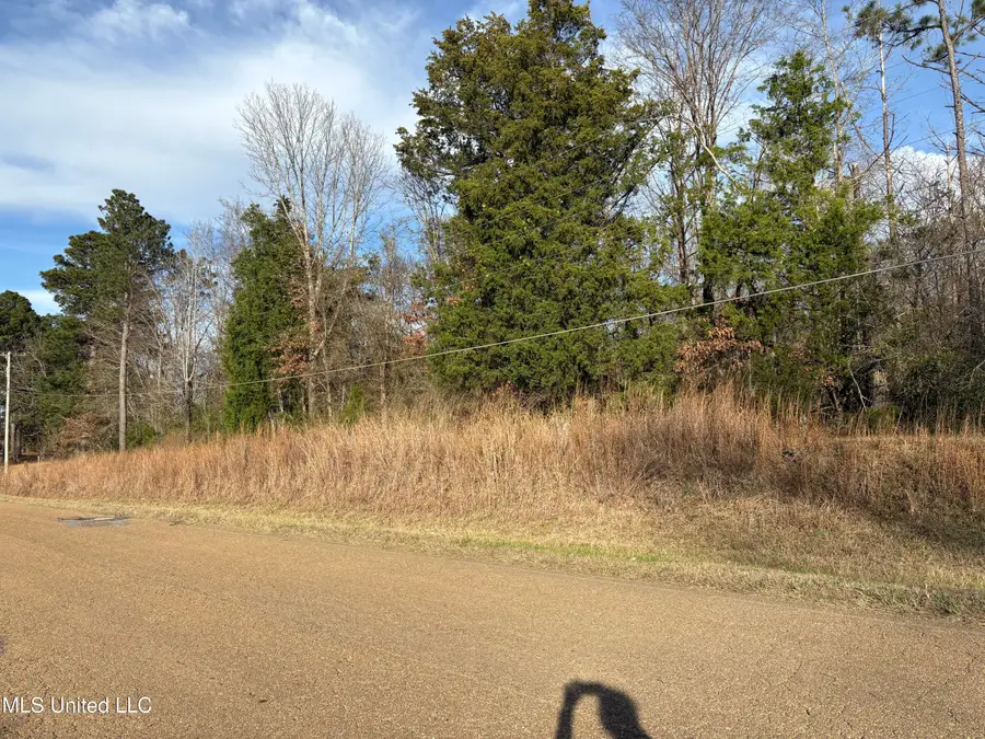 0 N Siwell Road, Jackson, MS 39209 - Image #3
