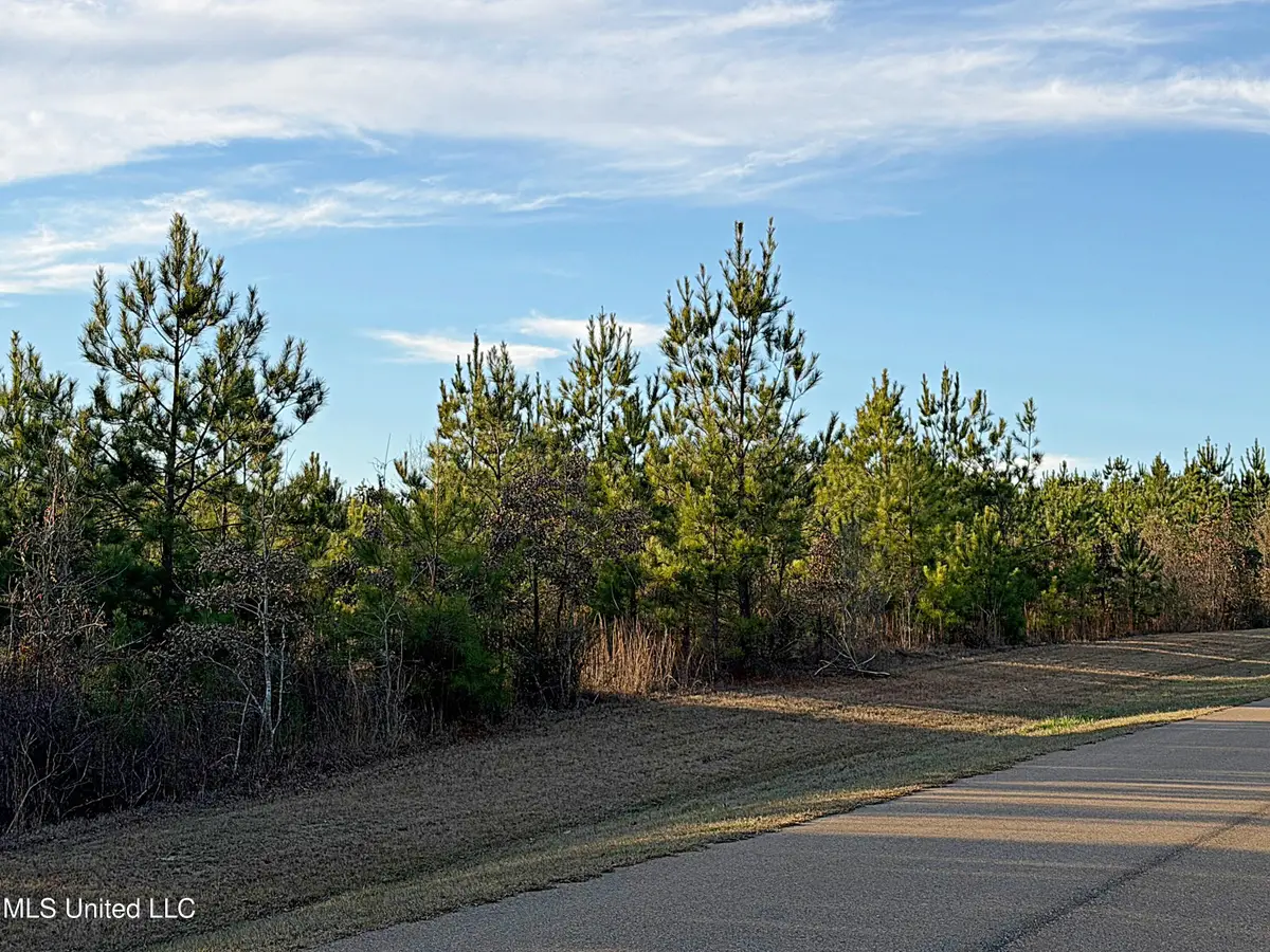 0 Airport Road, Carthage, MS 39051 - Image #1