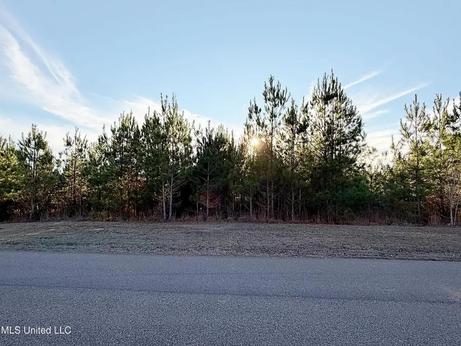 0 Airport Road, Carthage, MS 39051 - Image #3