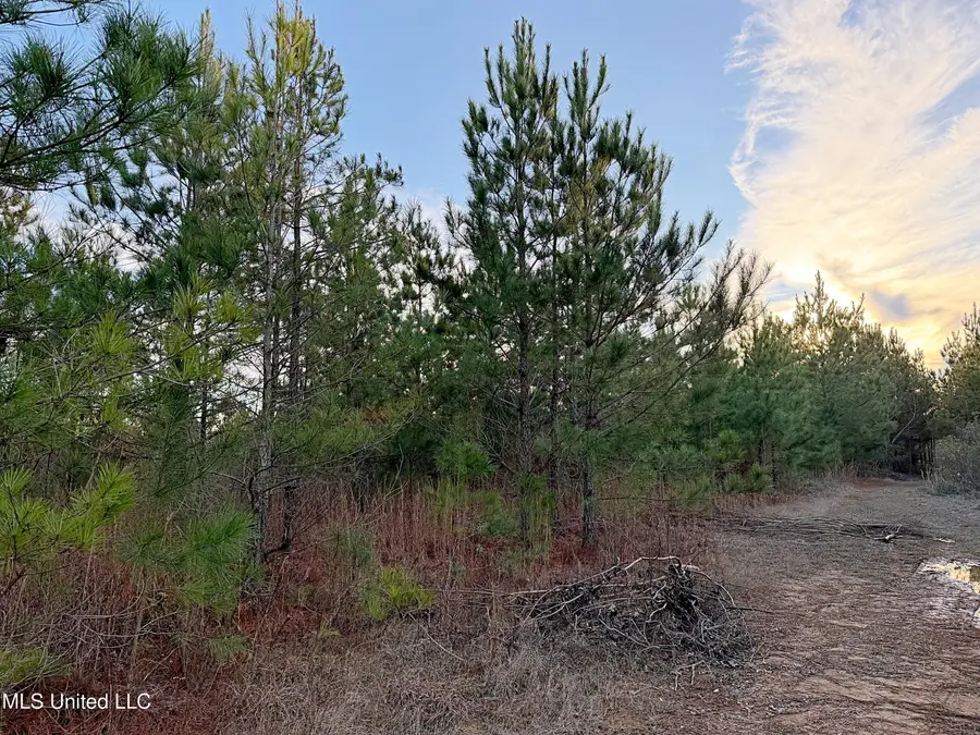 00 Airport Road, Carthage, MS 39051 - Image #2