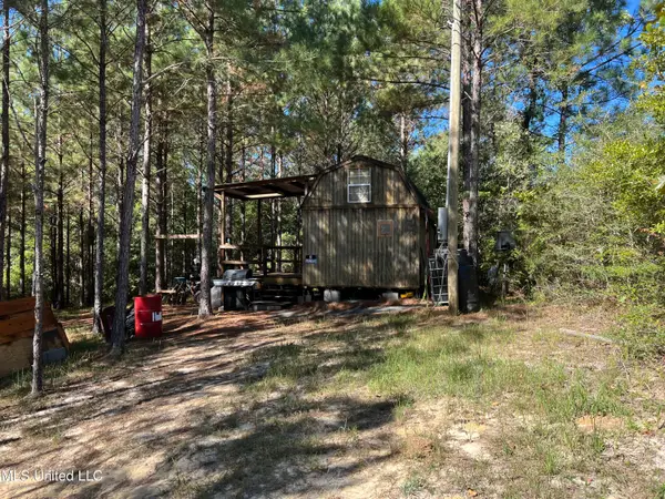 259 Forest Lake Road, Beaumont, MS 39423