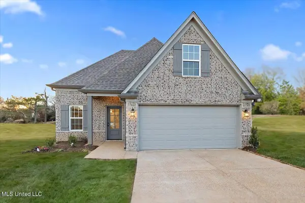 13846 Molly Madeline Lane, Olive Branch, MS 38654