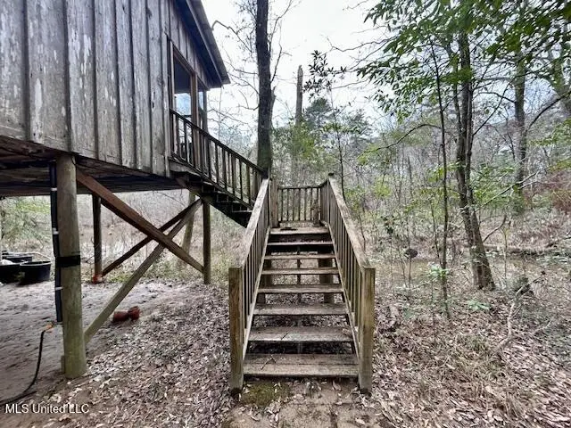 3197 Leatherwood Road, Tylertown, MS 39667 - Image #2