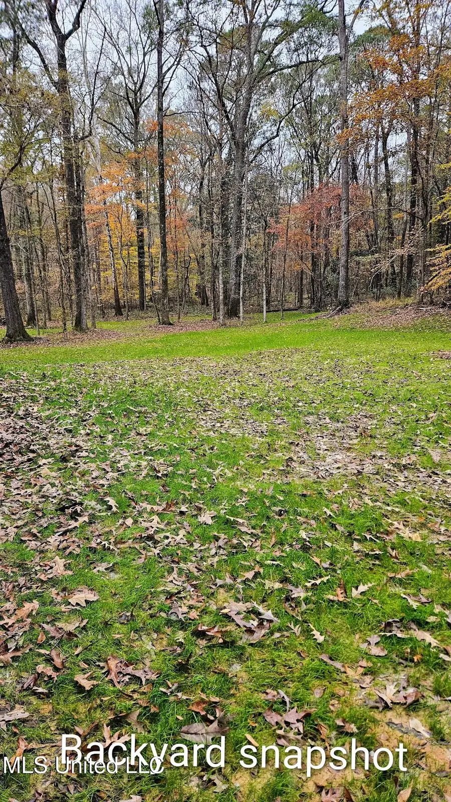 151 E Eagle Ridge Drive, Florence, MS 39073 - Image #3