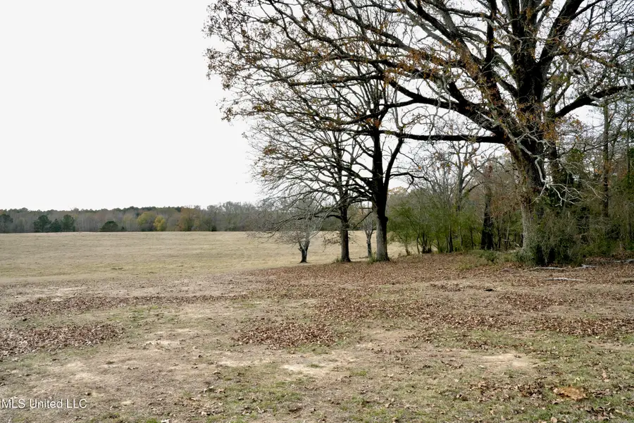 Xxx S Washington Ne Street, Brookhaven, MS 39601 - Image #2