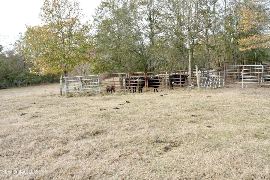 Xxx S Washington Ne Street, Brookhaven, MS 39601 - Image #3