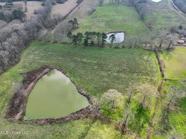 Farmer Road, Smithdale, MS 39664