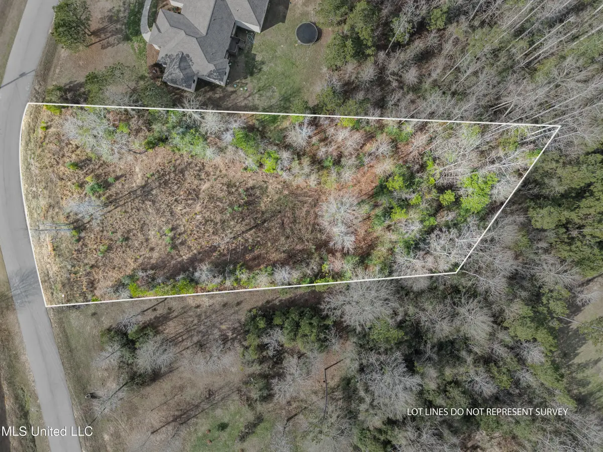 10 Crossbuck Road, Sumrall, MS 39482 - Image #1