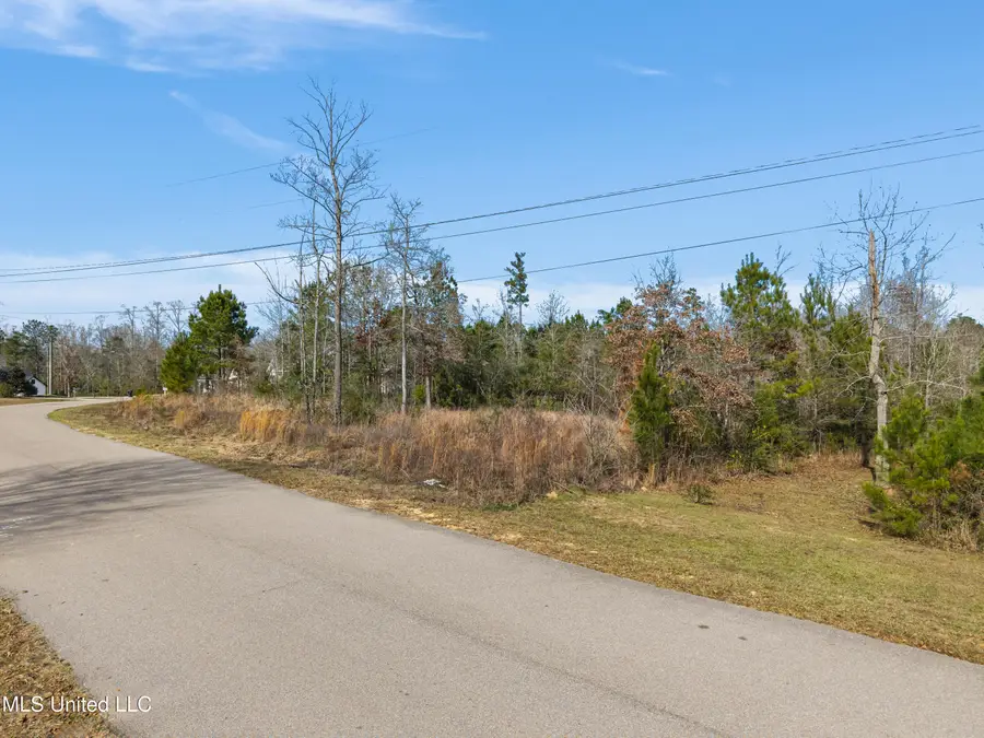 10 Crossbuck Road, Sumrall, MS 39482 - Image #3