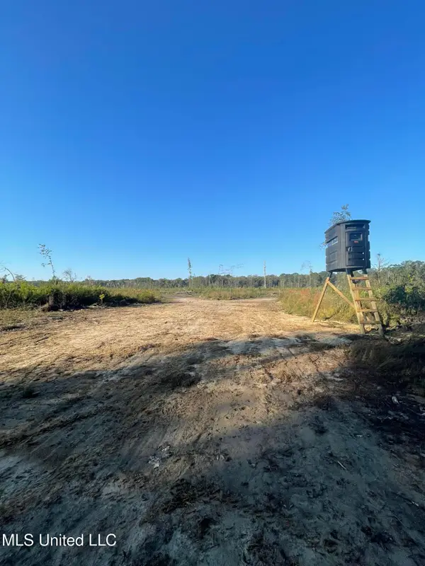 Hwy 490, Louisville, MS 39339