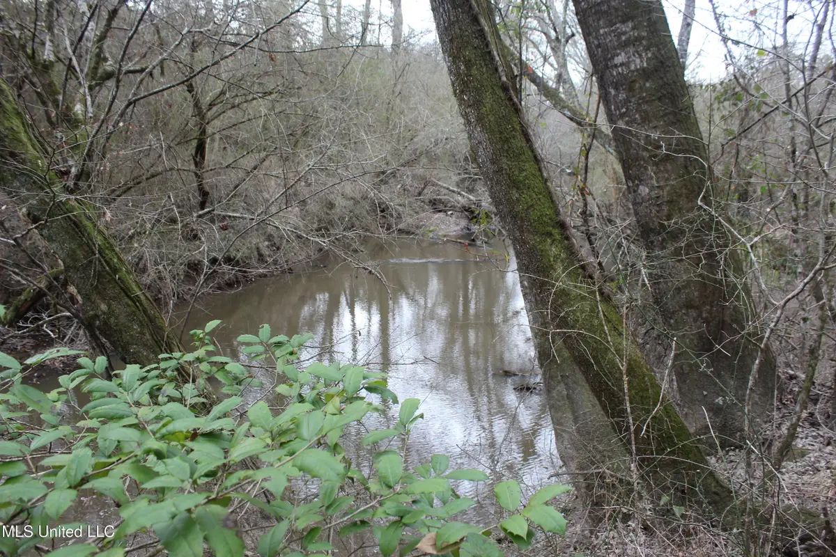 SW Big Creek Drive, Bogue Chitto, MS 39629 - Image #1