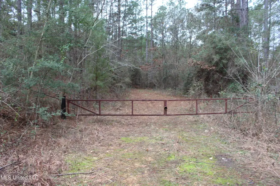 SW Big Creek Drive, Bogue Chitto, MS 39629 - Image #3