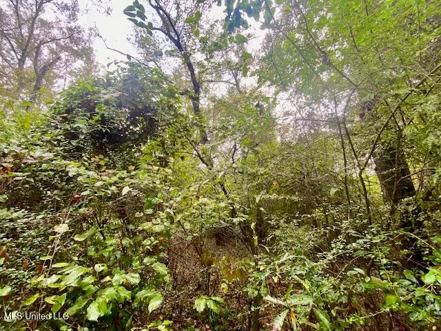 Dogwood Trail, McComb, MS 39648 - Image #3