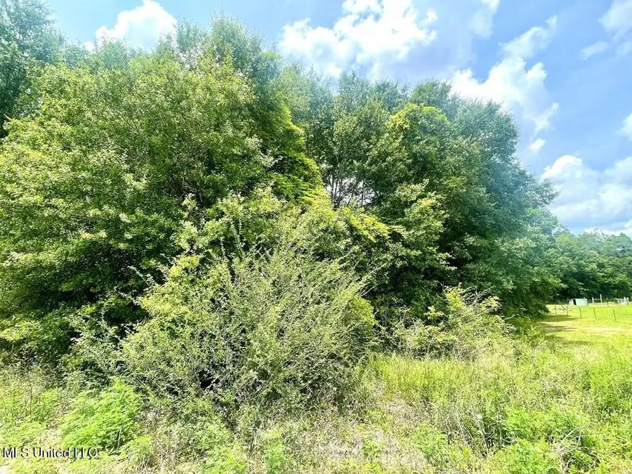 No Theodore Drive, Poplarville, MS 39470 - Image #2