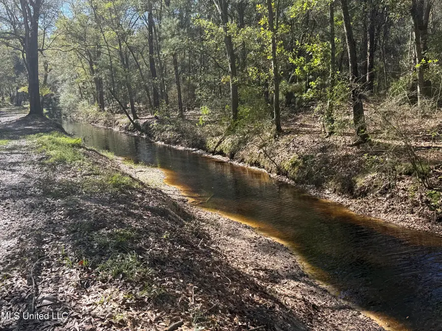 Holland Street, Pascagoula, MS 39581 - Image #2