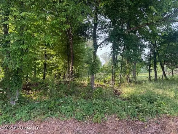 Lot 1 Slocum Road, Hernando, MS 38632