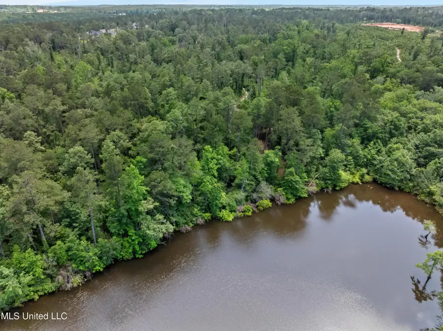 8 Acres Bridgewater Subdivision, Sumrall, MS 39482 - Image #2