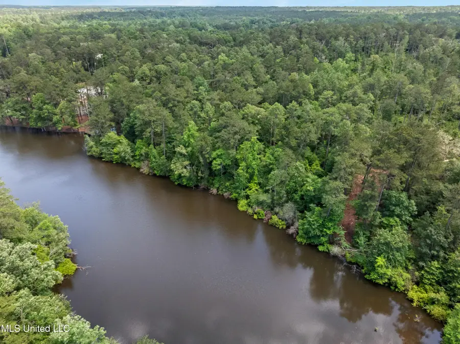 8 Acres Bridgewater Subdivision, Sumrall, MS 39482 - Image #3