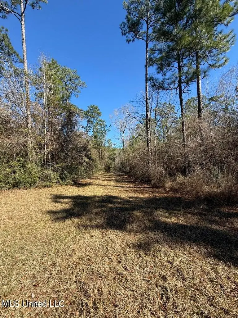 113 +/- Acres Hwy 98, Columbia, MS 39429 - Image #1
