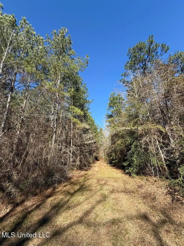 113 +/- Acres Hwy 98, Columbia, MS 39429 - Image #3