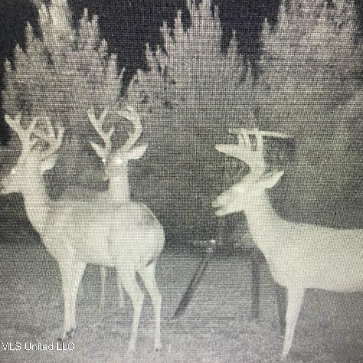 448 Attala Road, Goodman, MS 39079 - Image #1