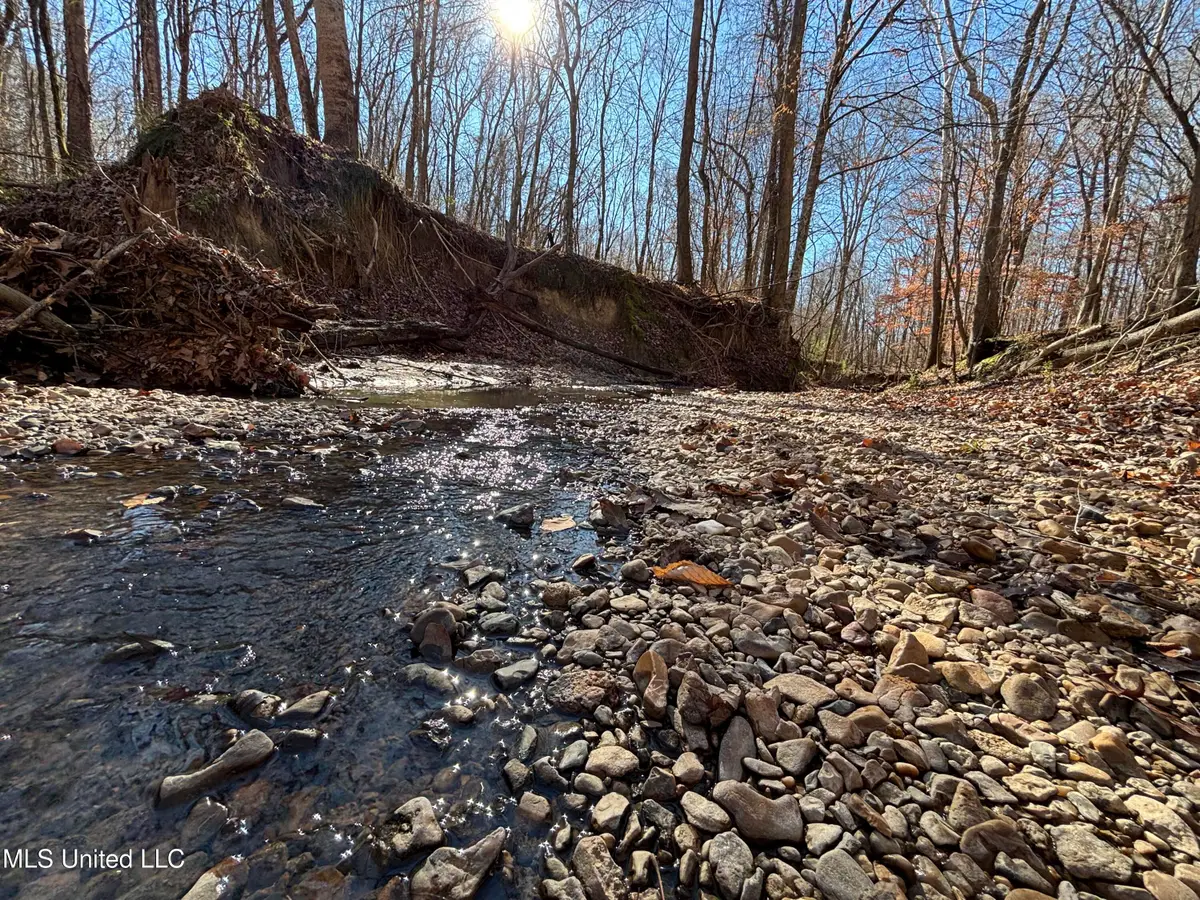 2822 Stevens Road, Yazoo City, MS 39194 - Image #1