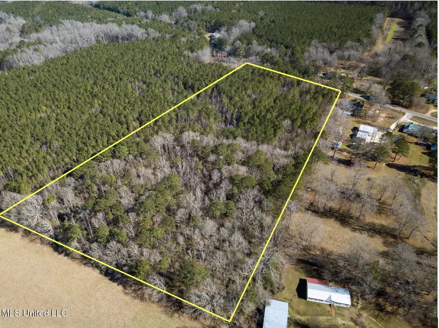 Mississippi 13 Highway, Morton, MS 39117 - Image #3