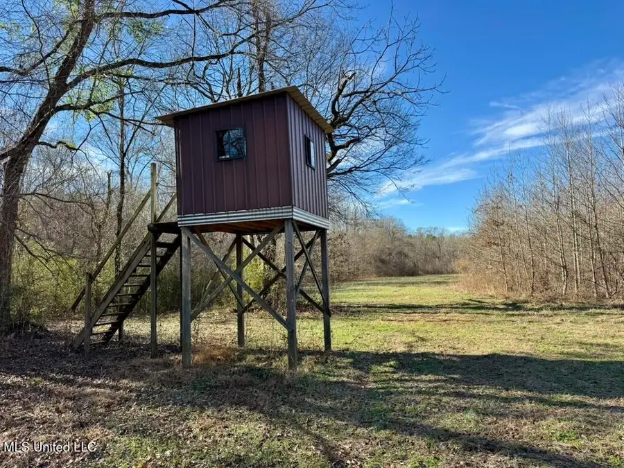 24437 Mississippi 17, Lexington, MS 39095 - Image #3